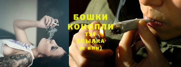 индика Верхний Тагил